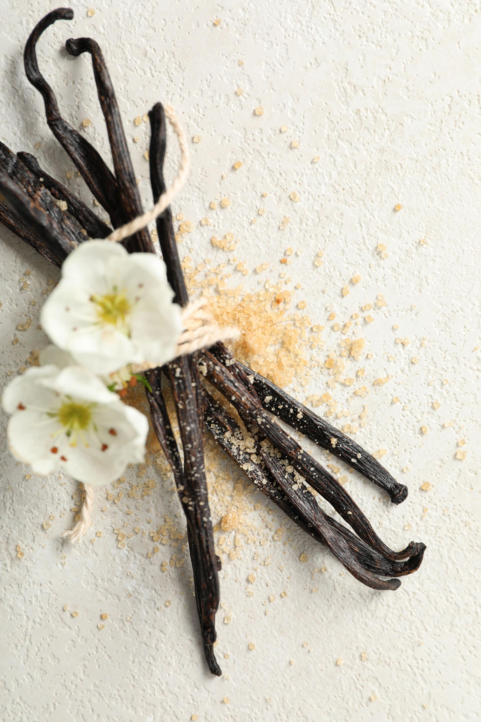 Concept of aromatherapy with aromatic vanilla extract